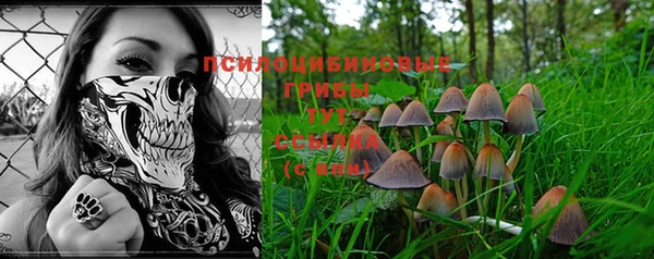 apvp Богданович