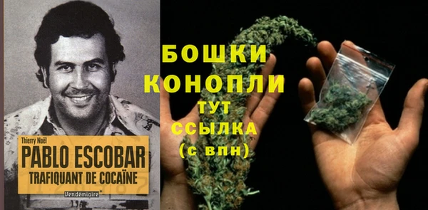 apvp Богданович