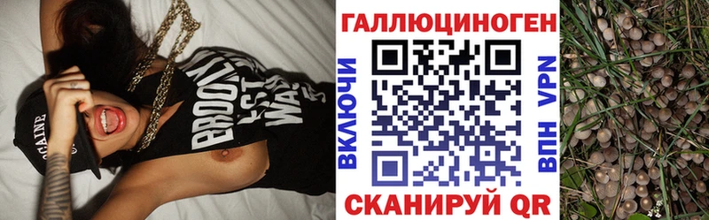 Псилоцибиновые грибы прущие грибы  Тосно 