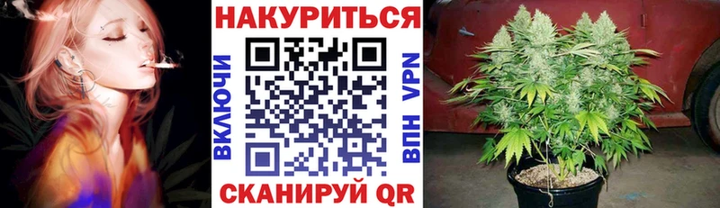 Конопля семена Тосно